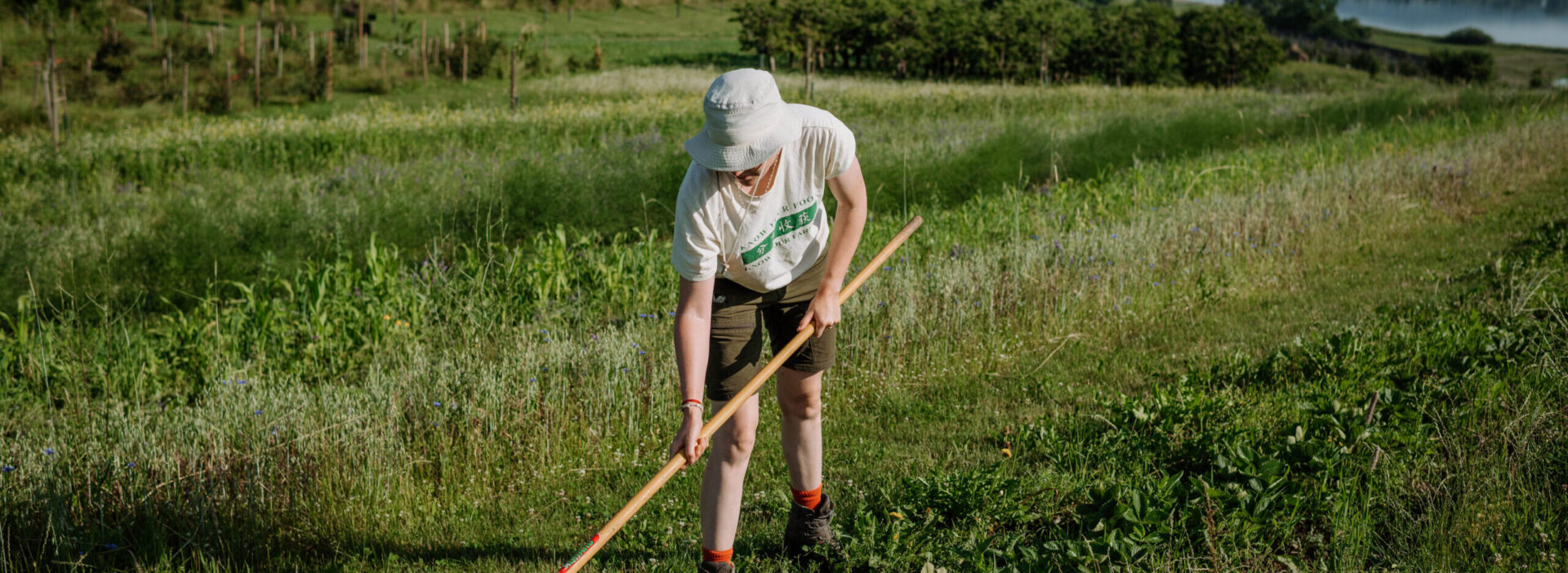 Wildkultur Juckerhof Seegräben
