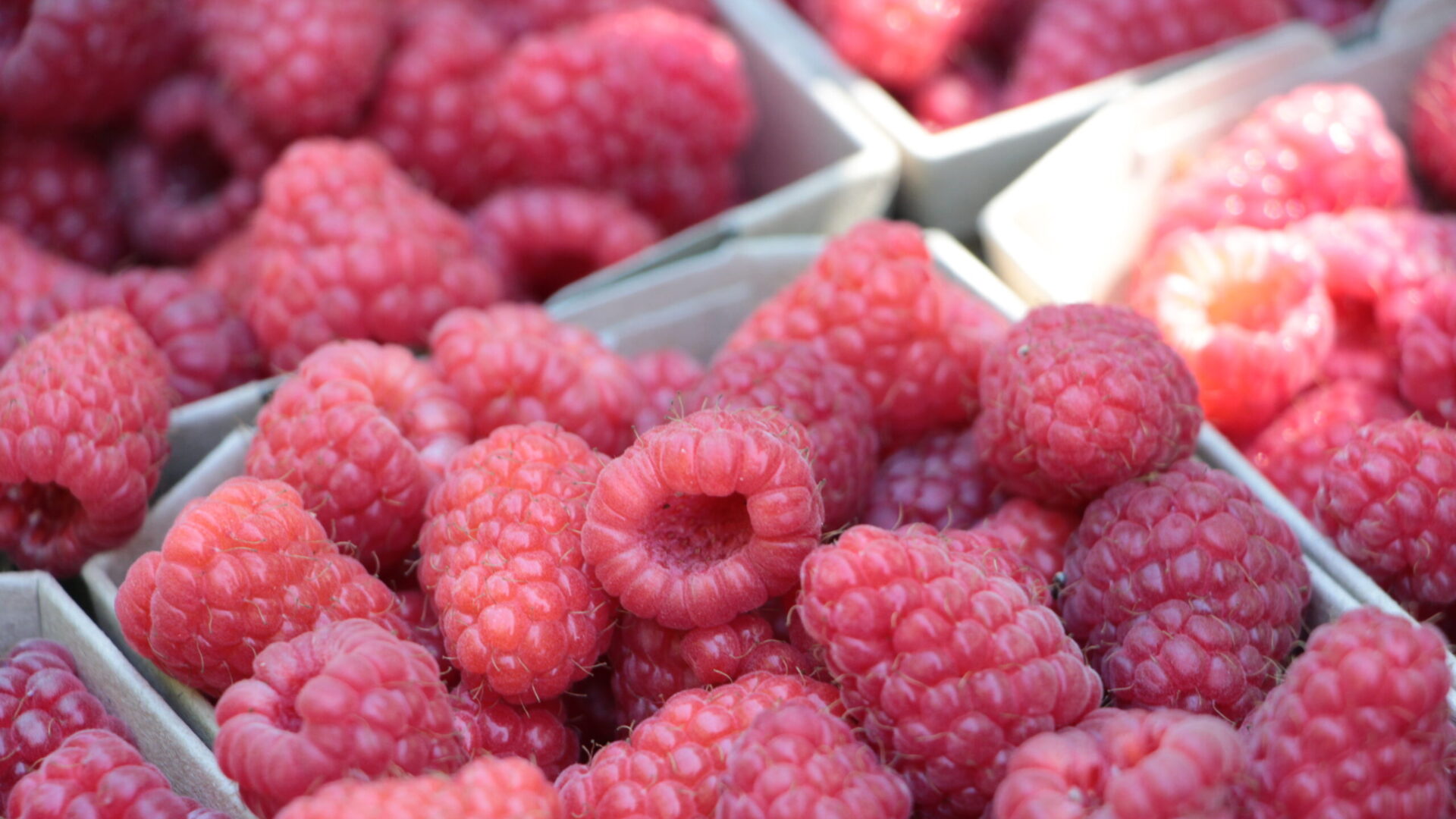 Himbeeren im Schälchen