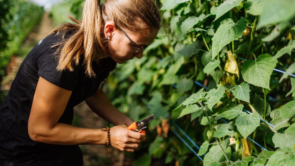 Valentina Gasser im Physalis-Tunnel
