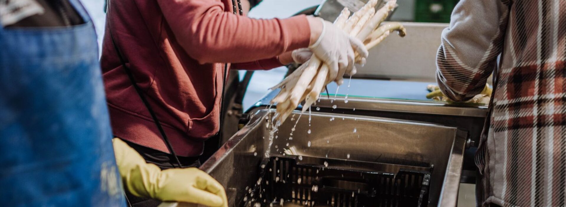 Bleichspargel waschen