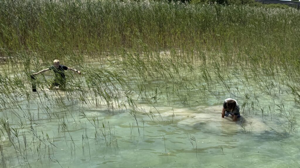 Wasser abpumpen aus dem Pfäffikersee
