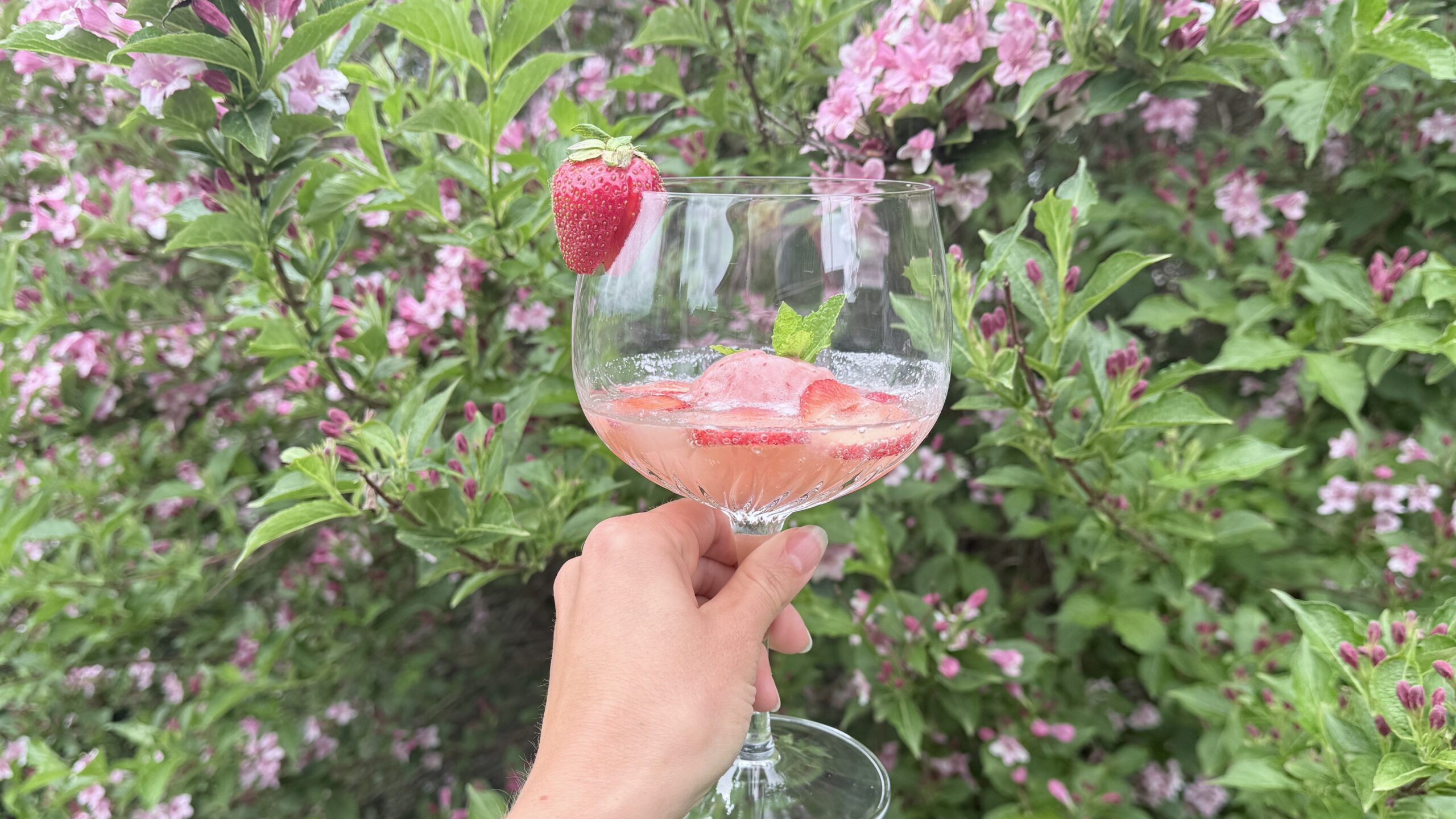 Erdbeer-Sprudeldrink