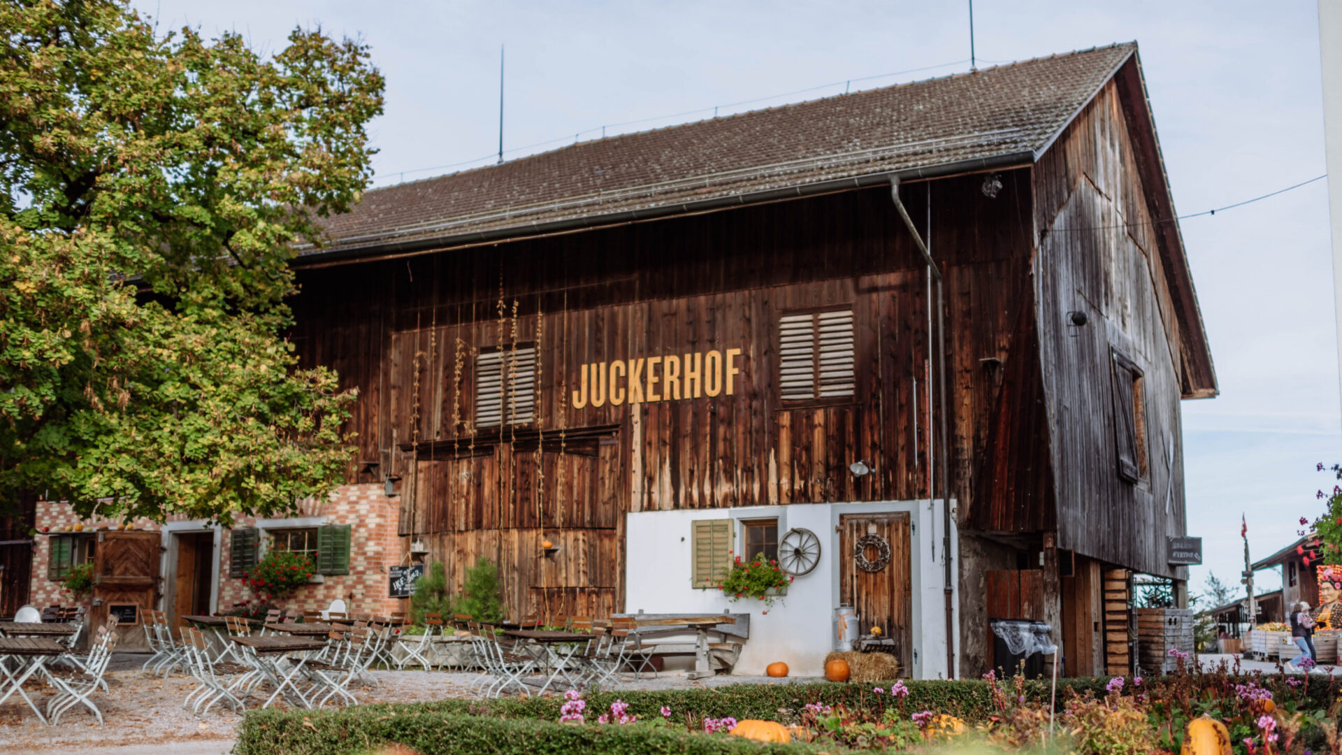 Juckerhof Seegräben im Herbst mti Kürbis