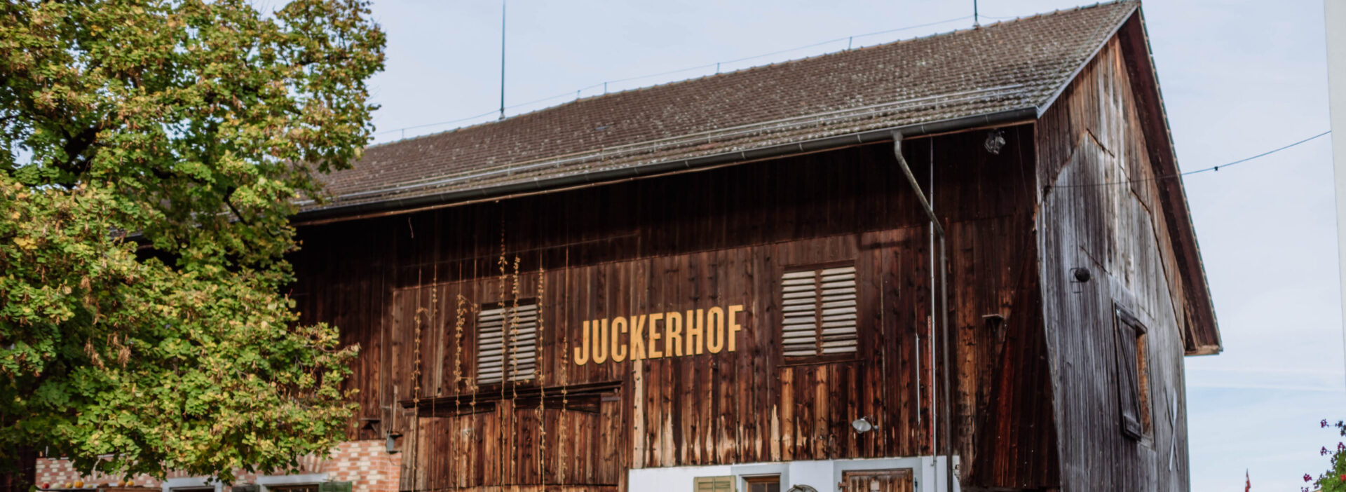 Juckerhof Seegräben im Herbst mti Kürbis