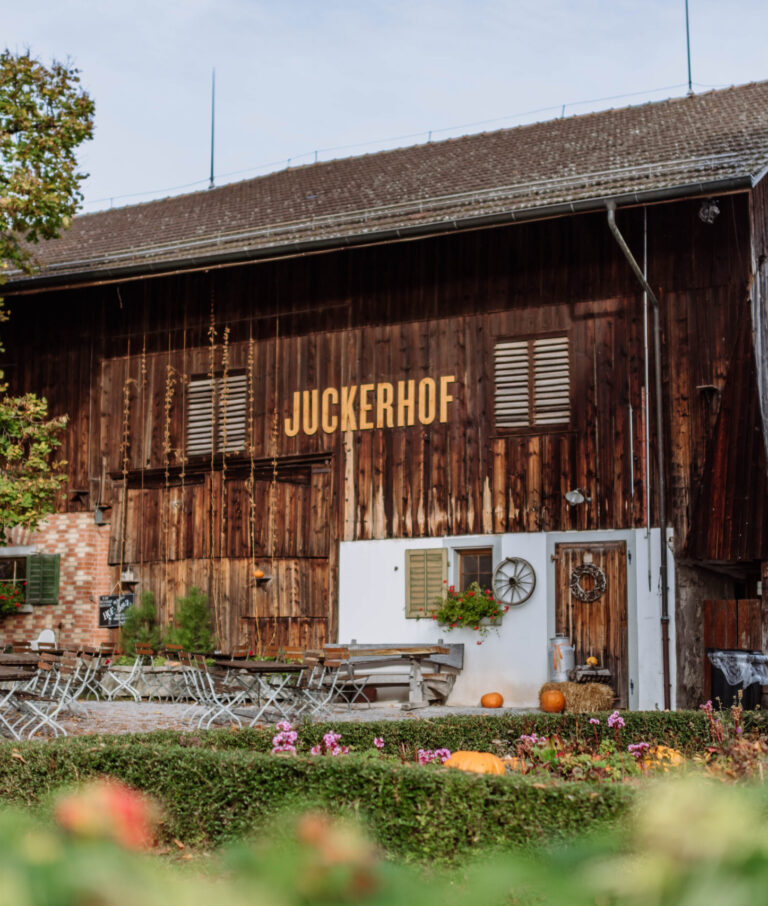 Juckerhof Seegräben im Herbst mti Kürbis