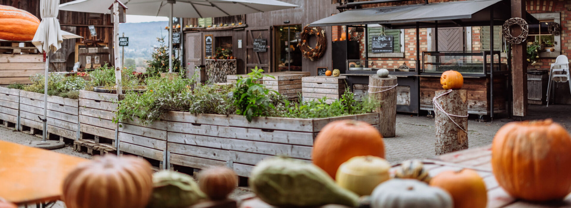 Juckerhof herbstlich dekoriert