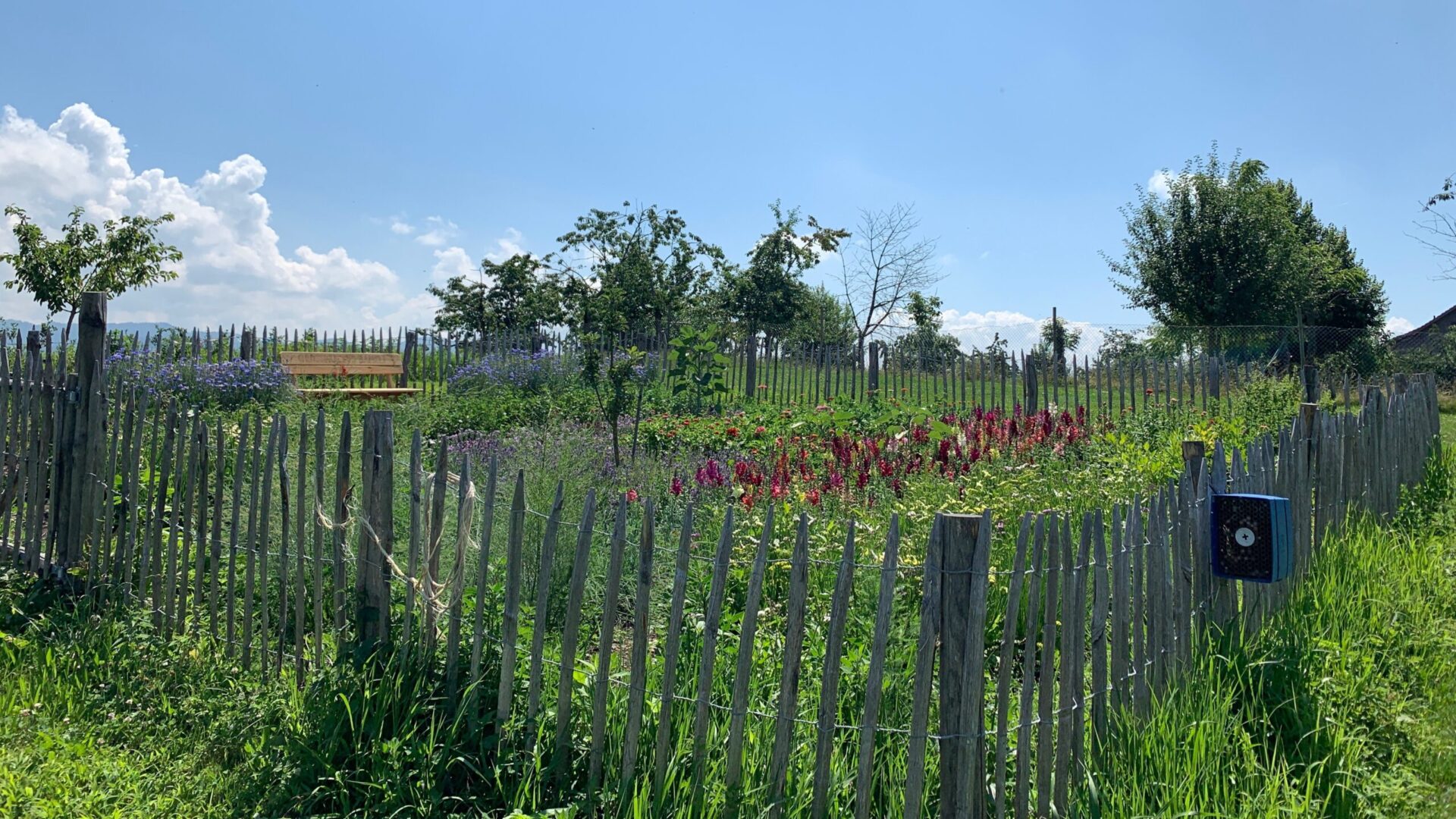 Elsbeths Garten