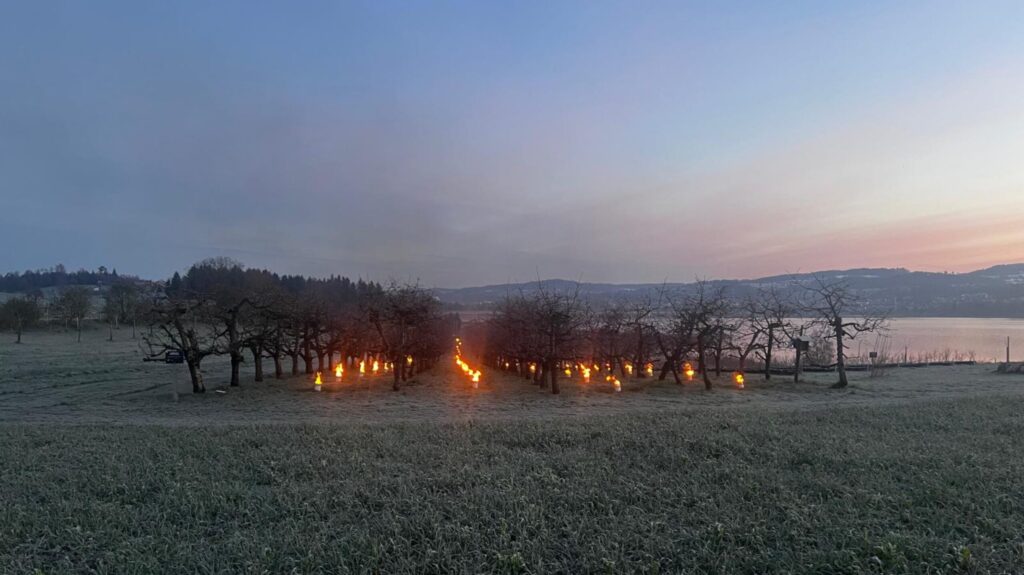 Frostkerzen bei Dämmerung