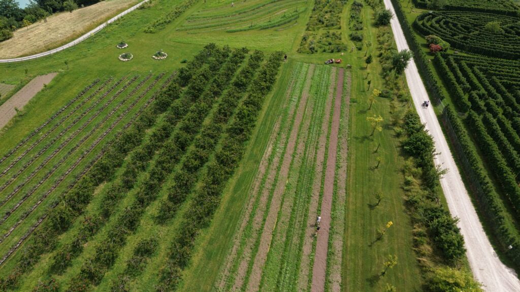 Drohnenaufnahme Mosaik-Landwirtschaft