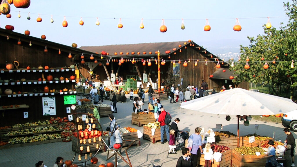 Kürbisausstellung 2001 auf dem Juckerhof