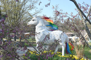 Blühba Jucker Saisoneröffnung 2026