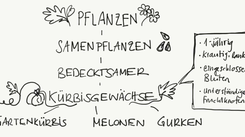 Systematik vereinfacht