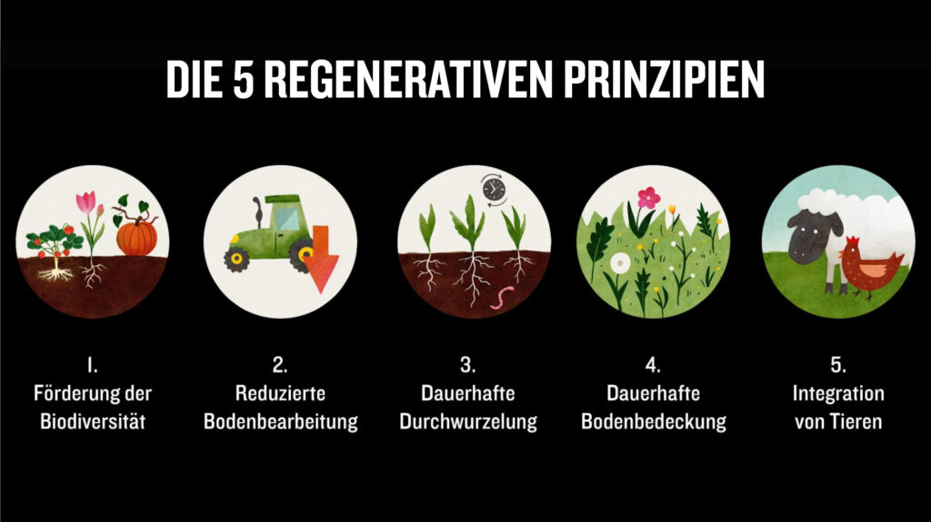 5 regenerative Prinzipien
