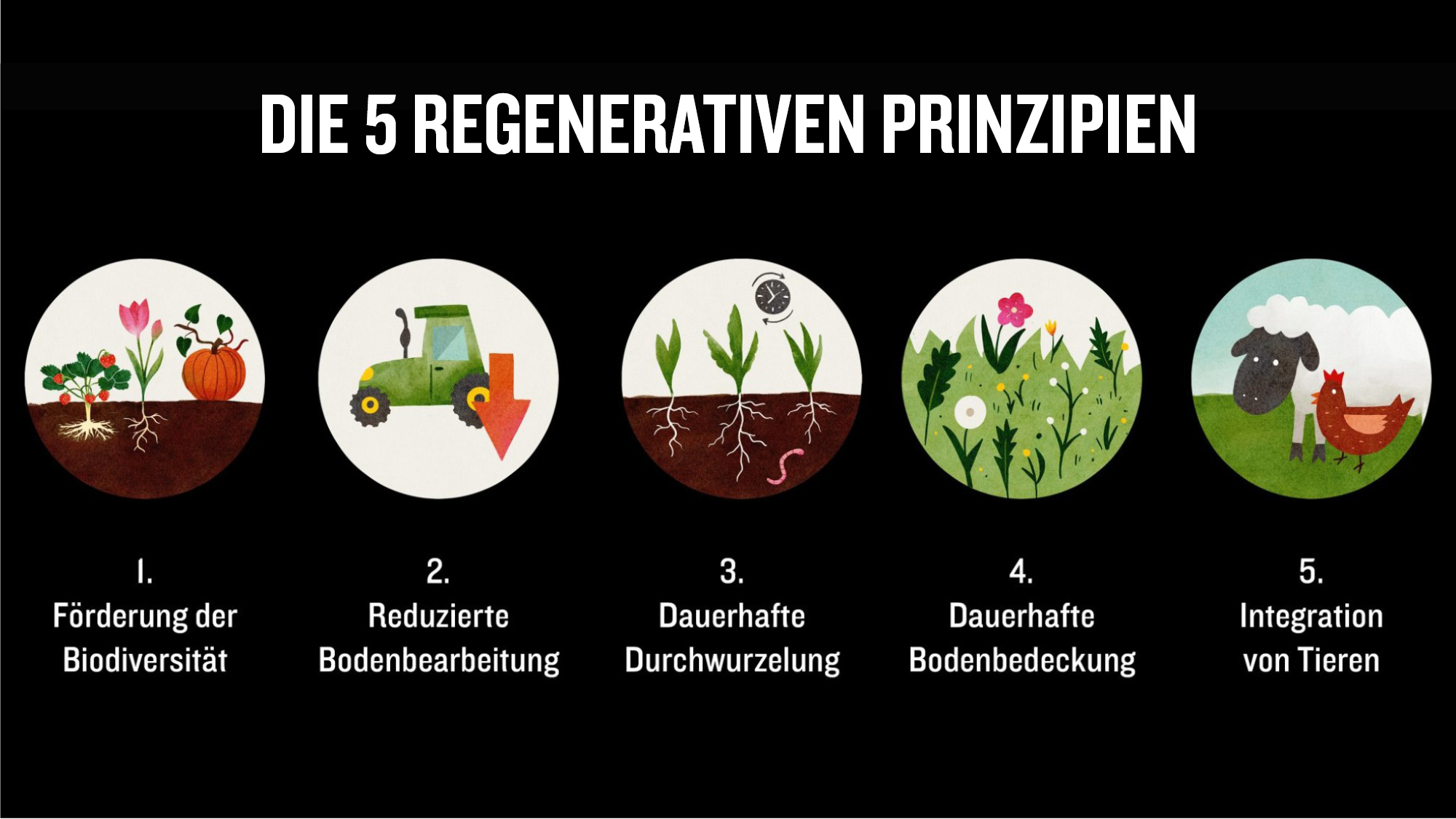 5 regenerative Prinzipien