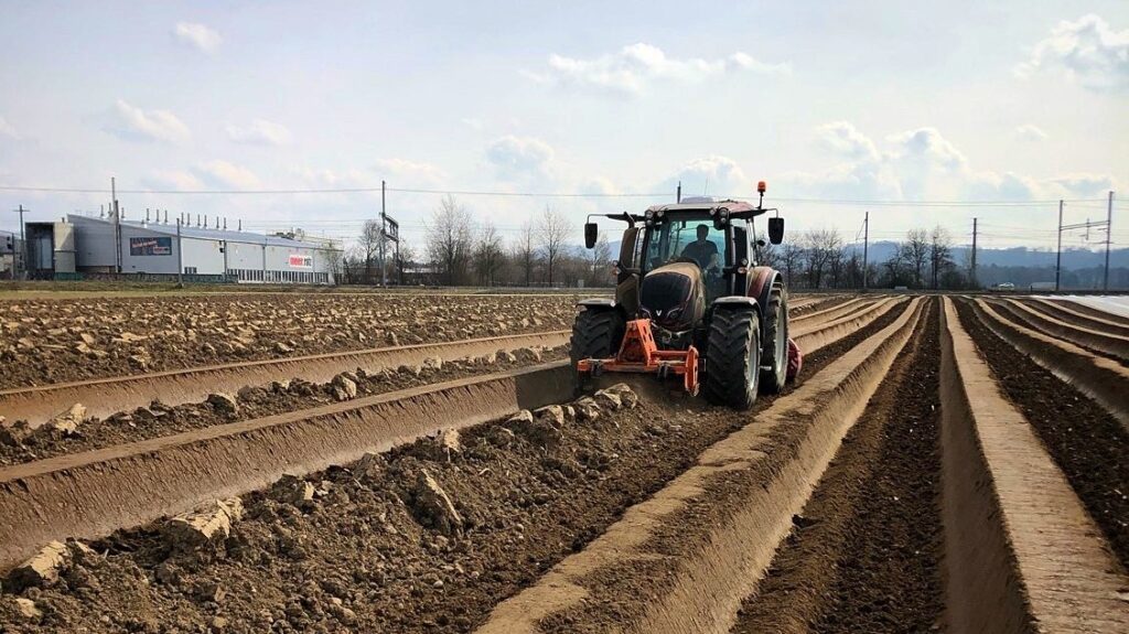 Spargeldamm wird gezogen