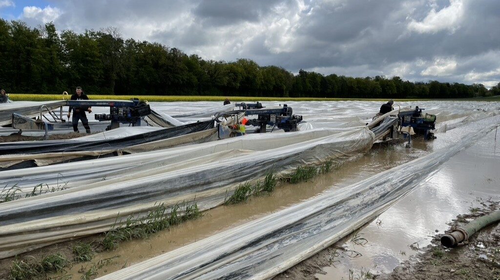 Spargelfeld unter Wasser