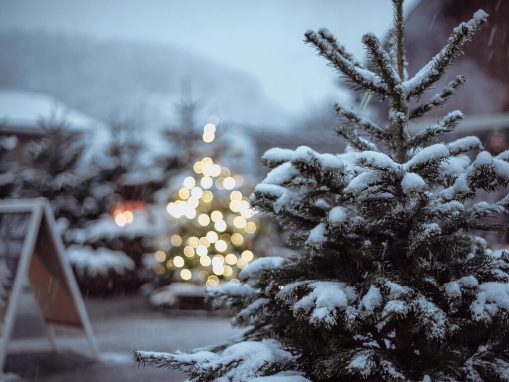 Weihnachtsbaumverkauf