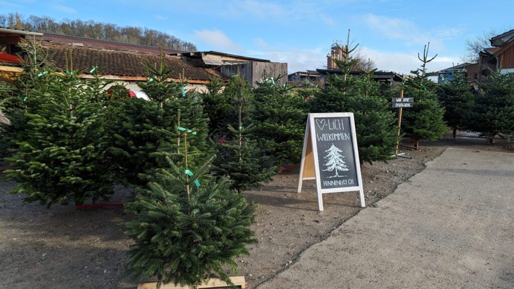 Weihnachtsbaum Verkauf Römerhof