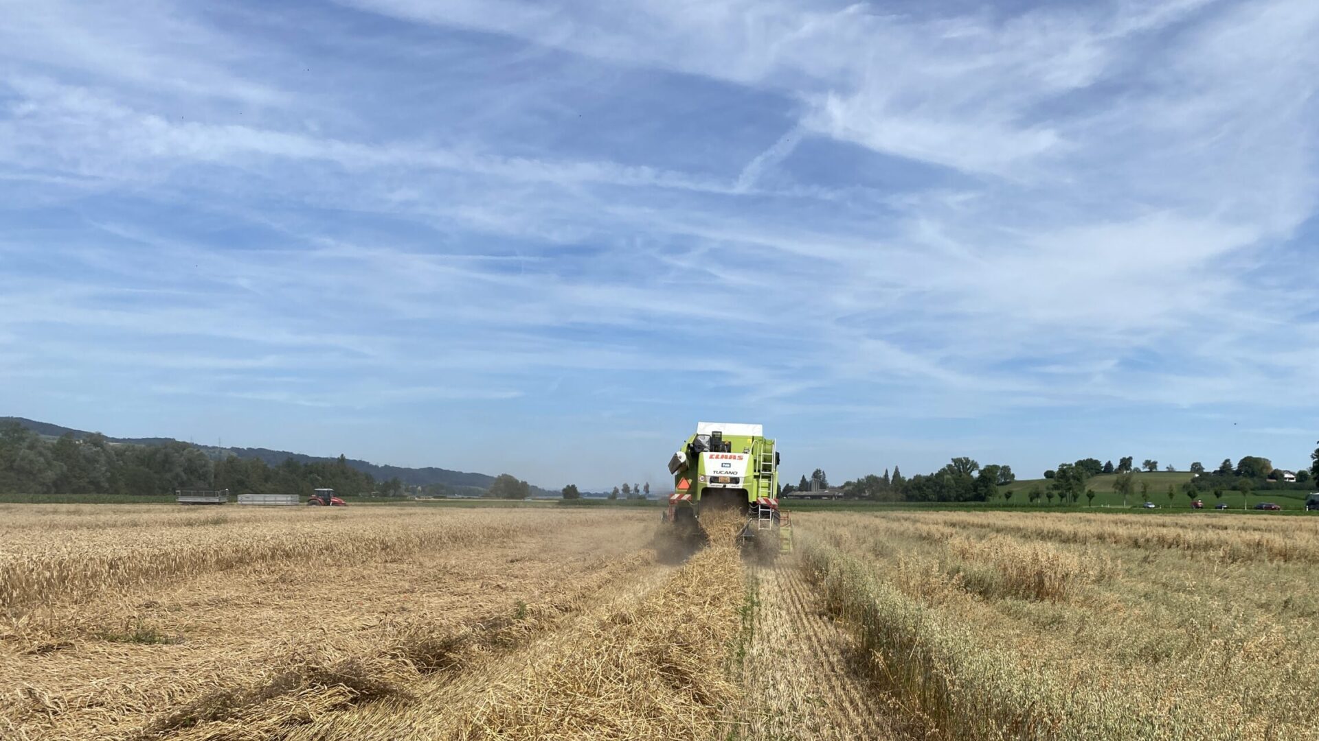 Mähdrescher auf Weizenfeld Jucker Farm