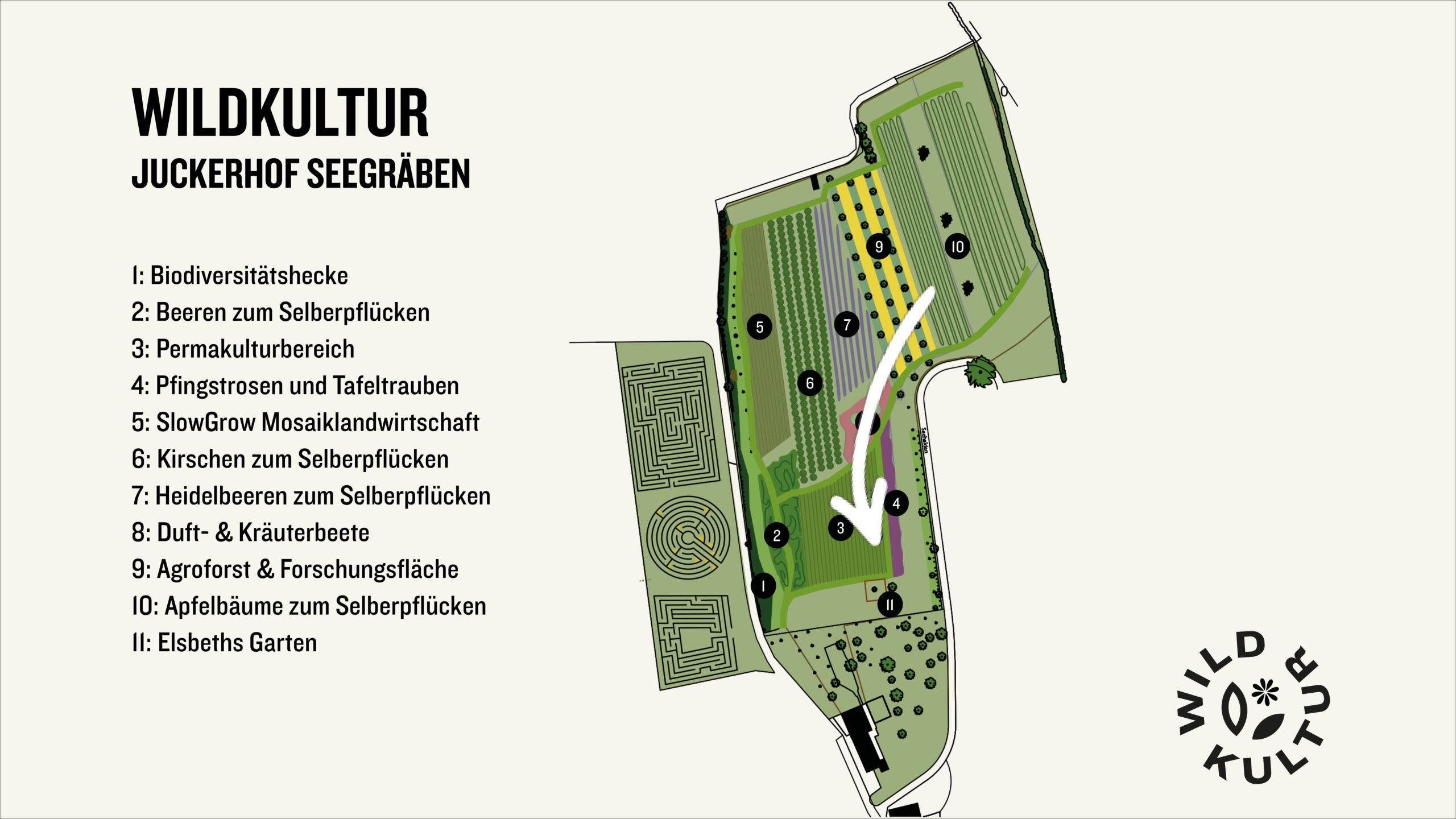Wildkultur Plan Äpfel zum Selberpflücken