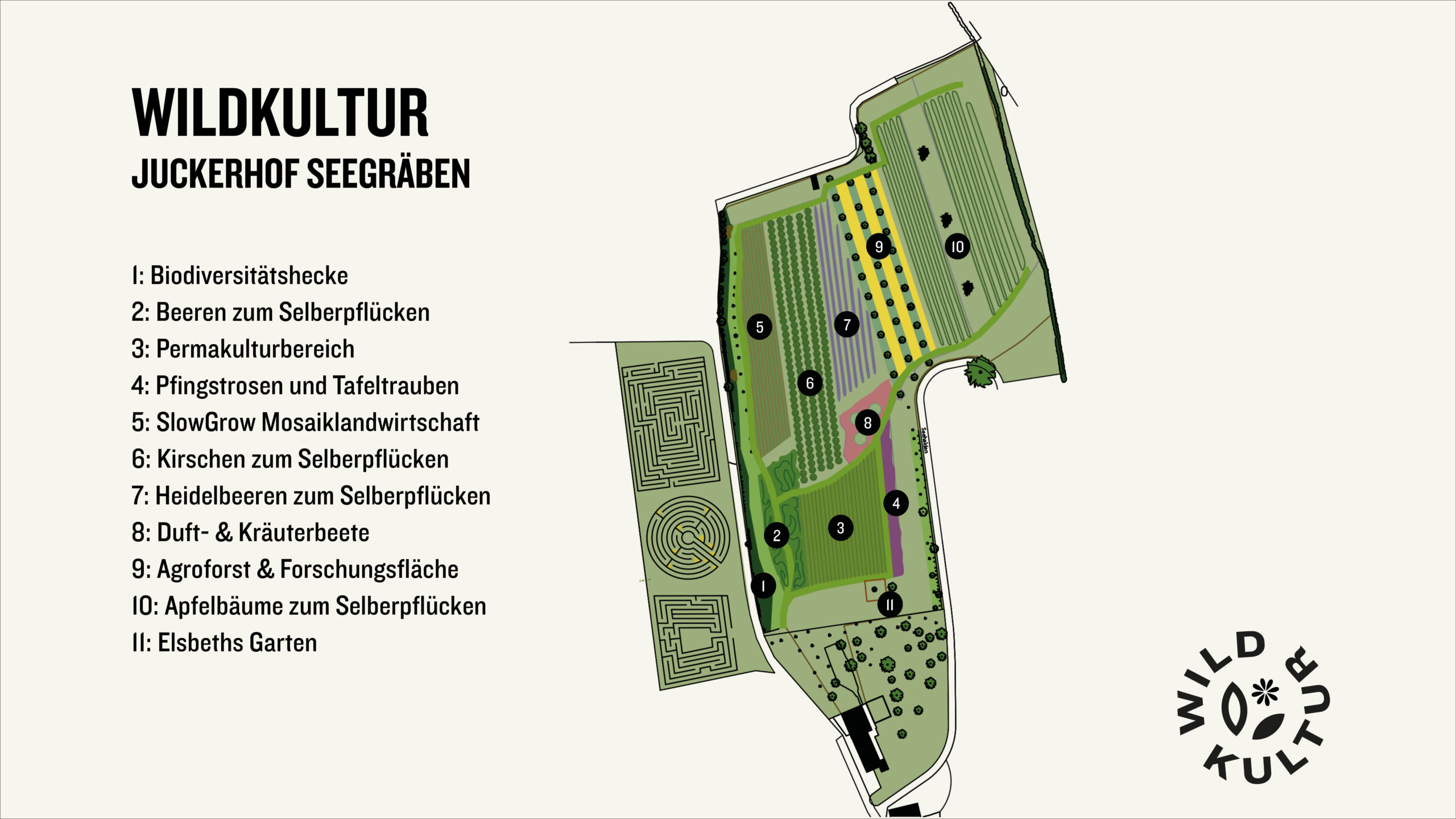 Wildkultur Plan Ende