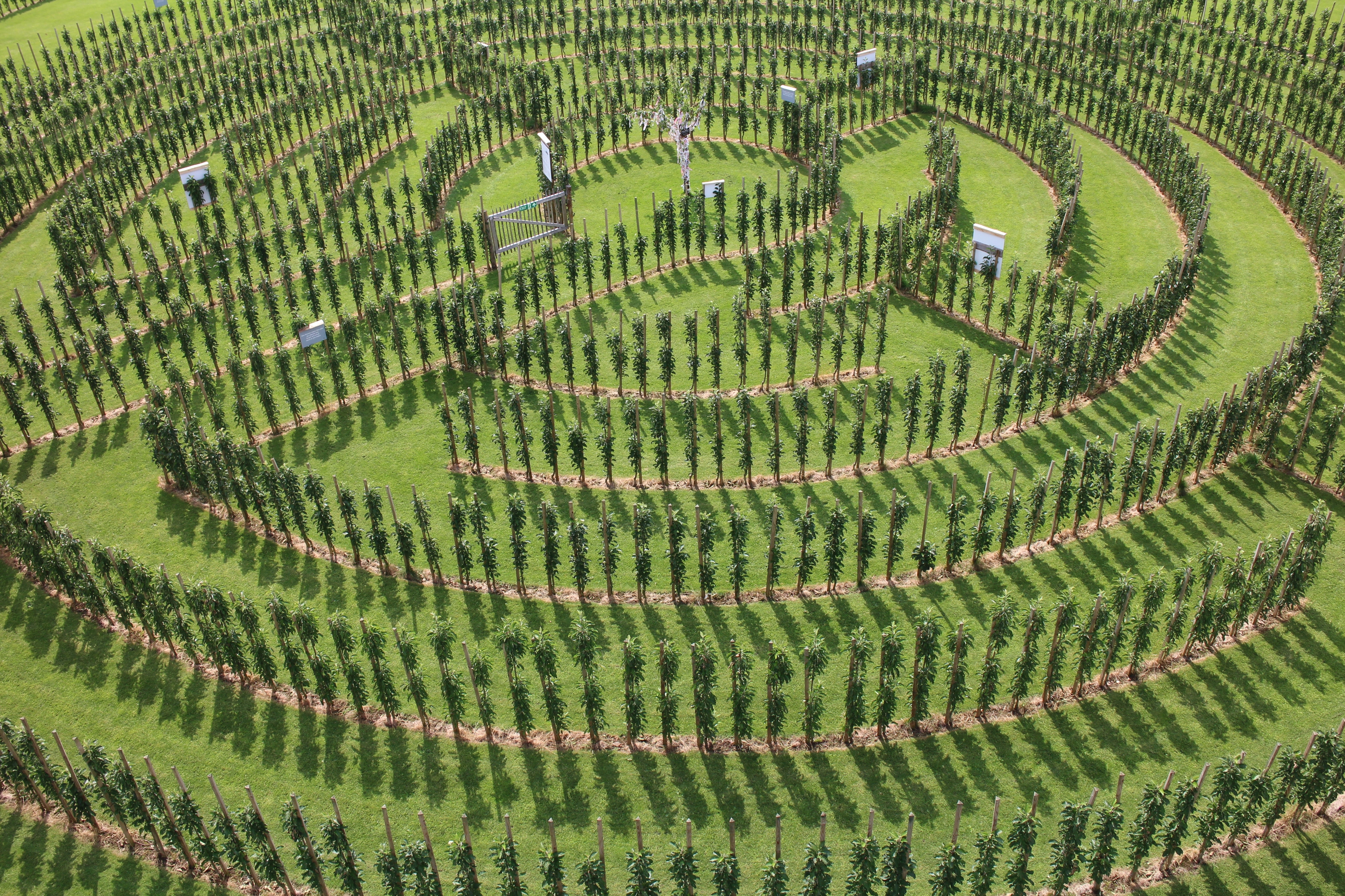 ÖpfelLabyrinth Aus Der Luft